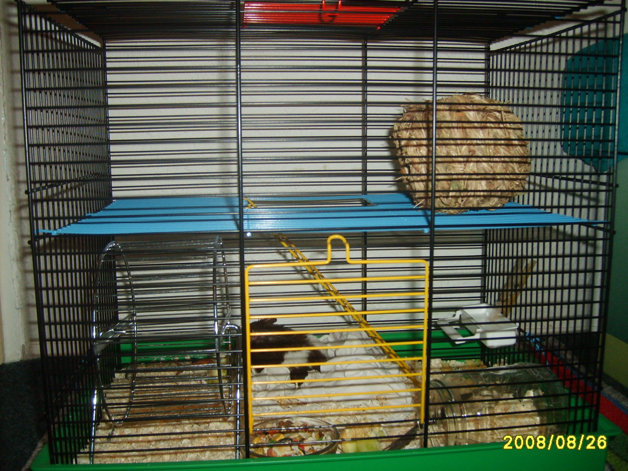 S5003388.JPG