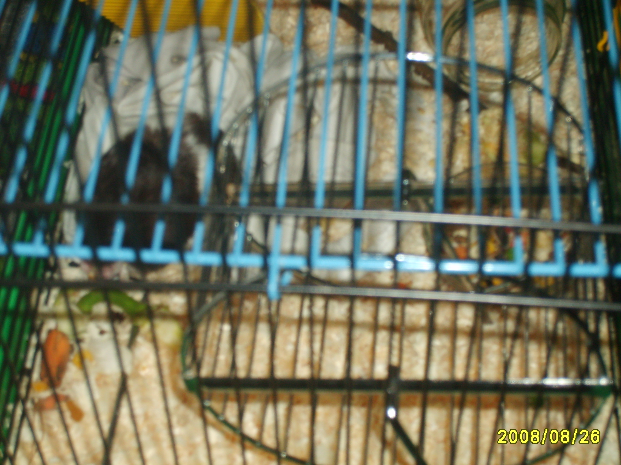 S5003389.JPG