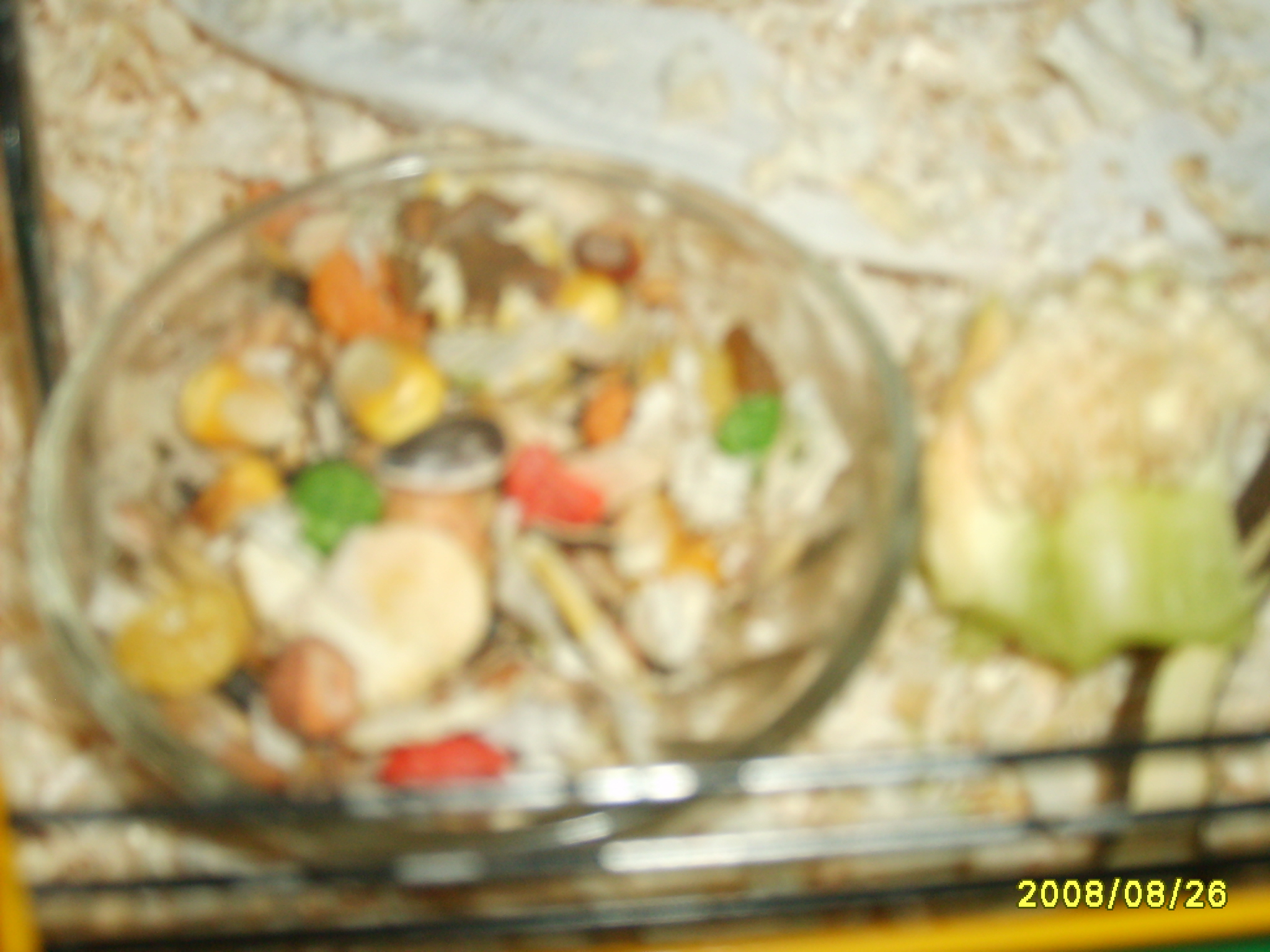 S5003393.JPG