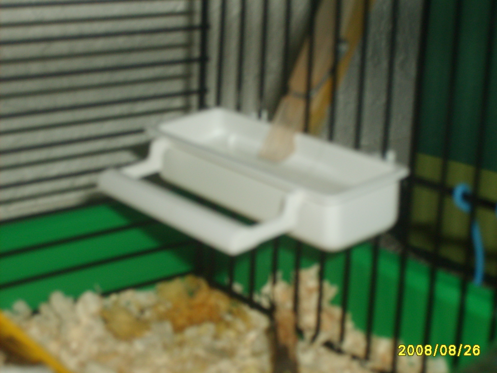 S5003394.JPG