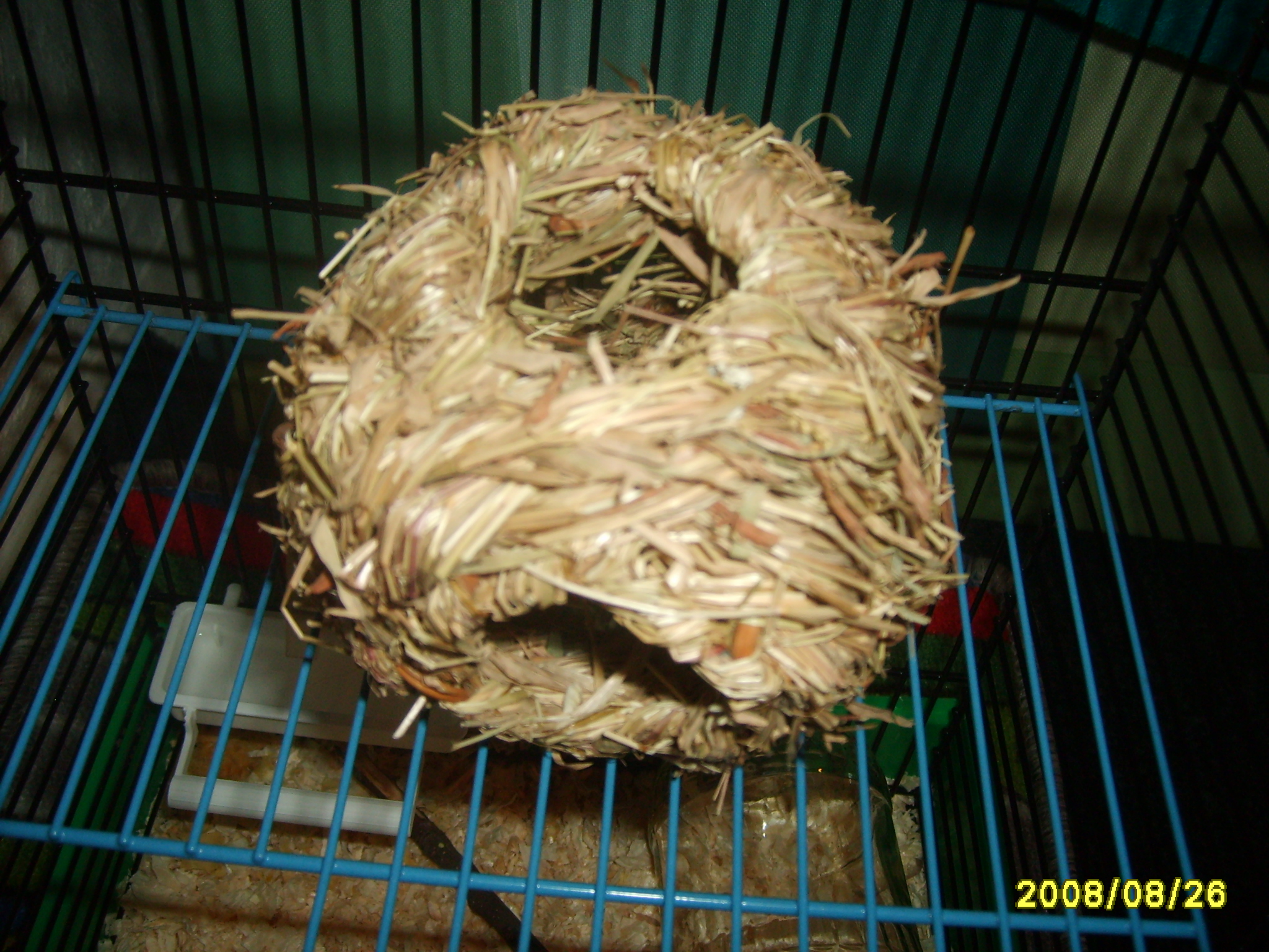 S5003395.JPG