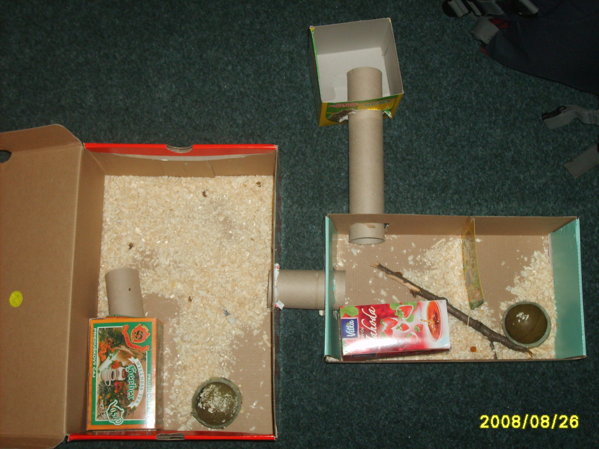 S5003396.JPG